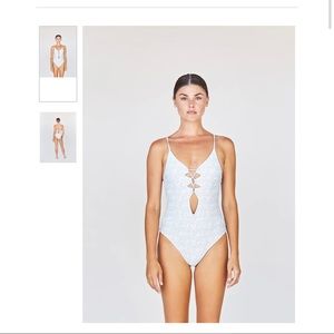 Acacia Kokomo Azalea